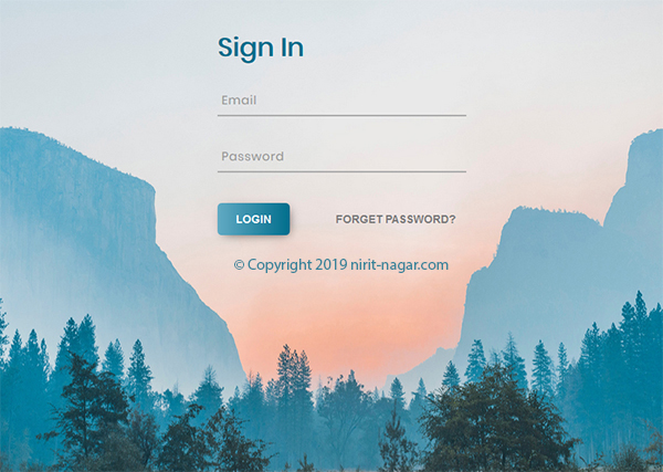 Login Form