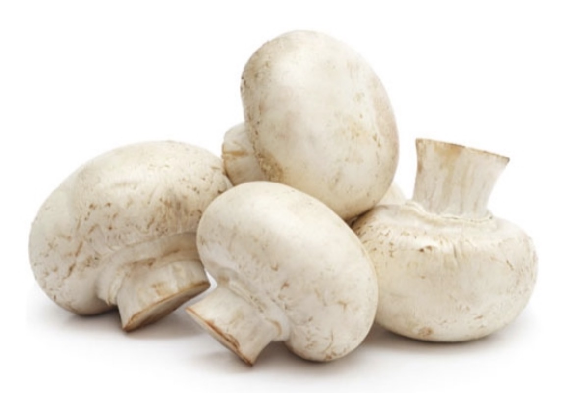 Champiñón