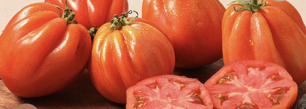 Tomate Corazón de Buey