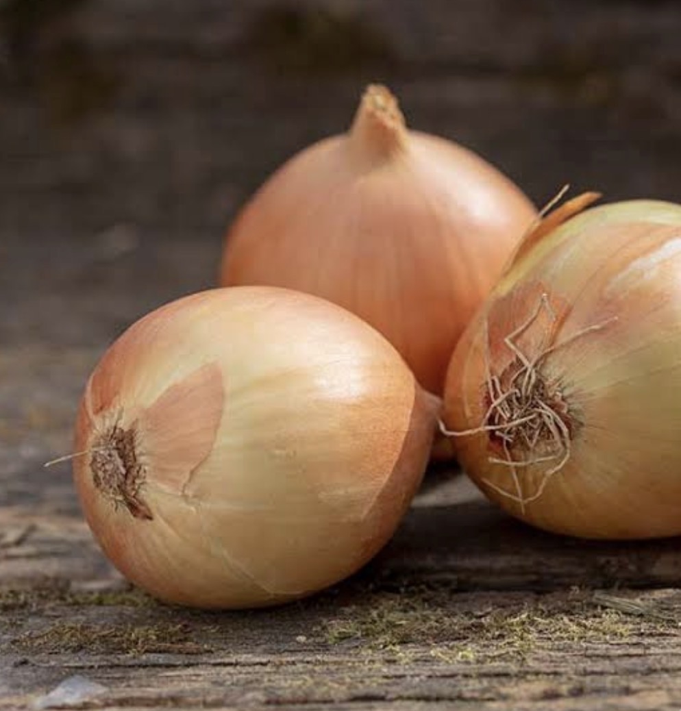 Cebolla