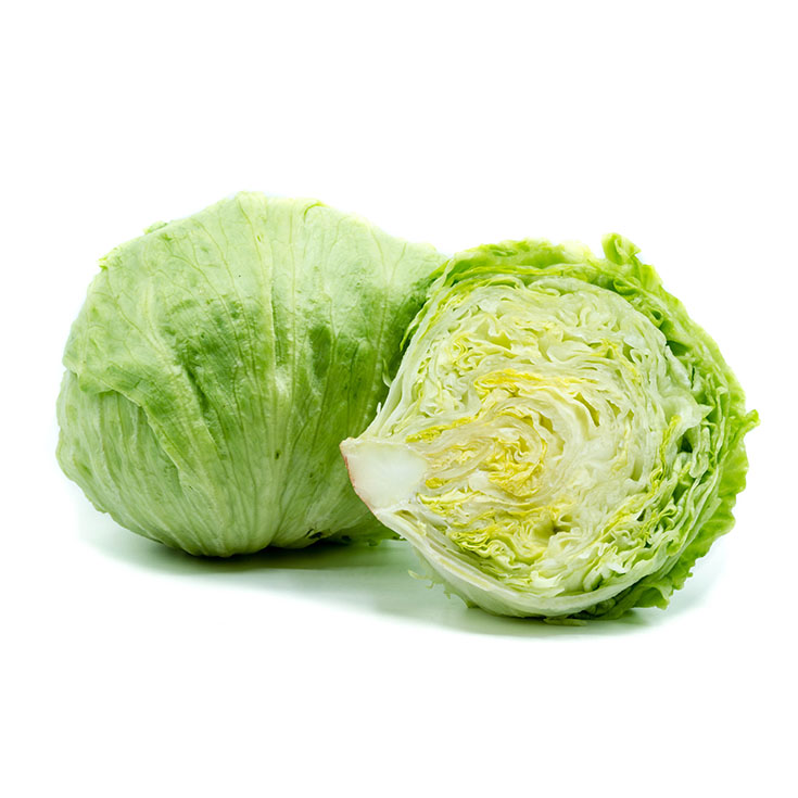 Lechuga Iceberg