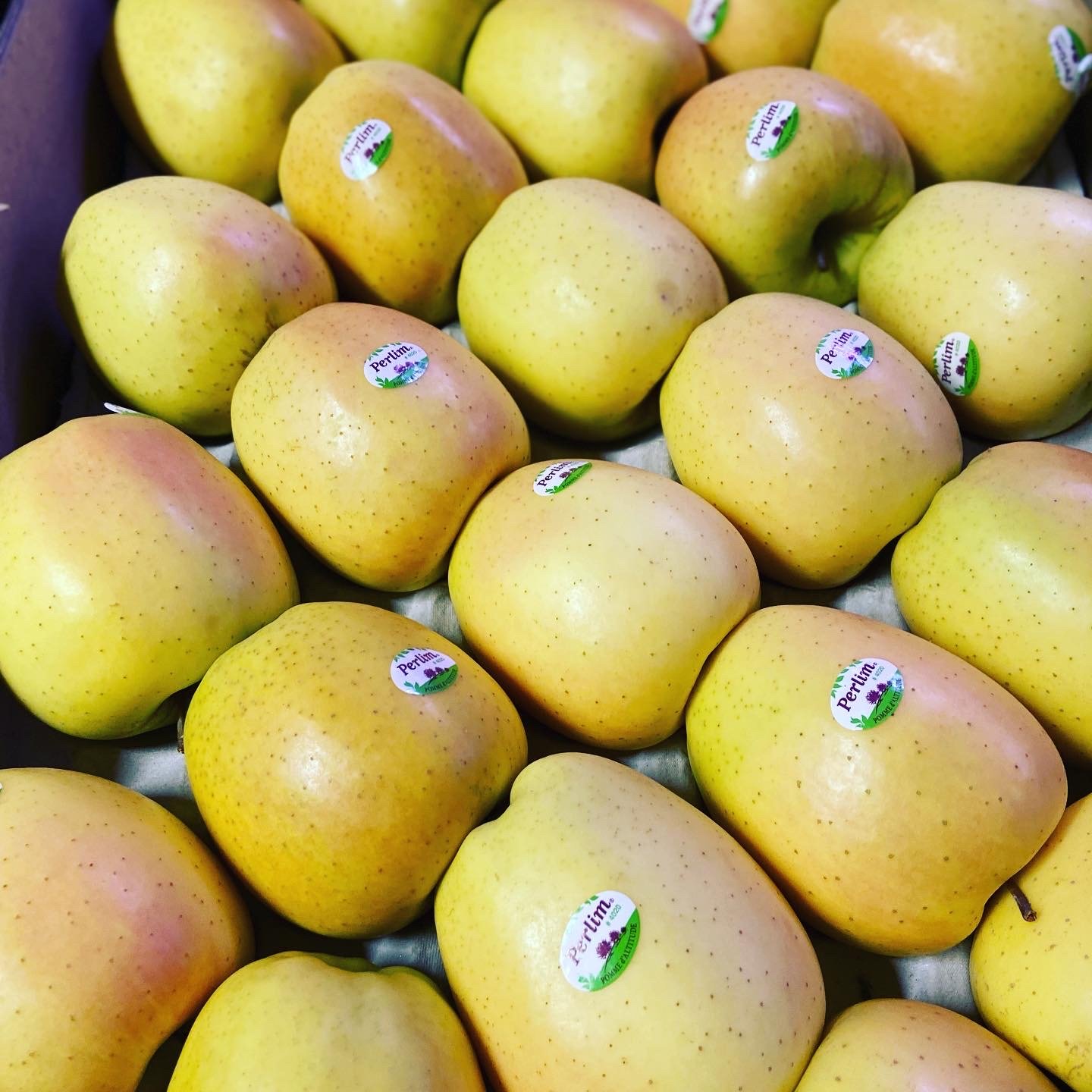 Manzana Golden Perlim