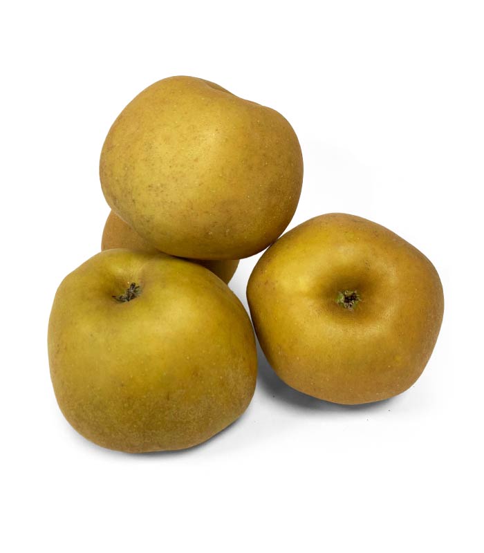 Manzana Reineta