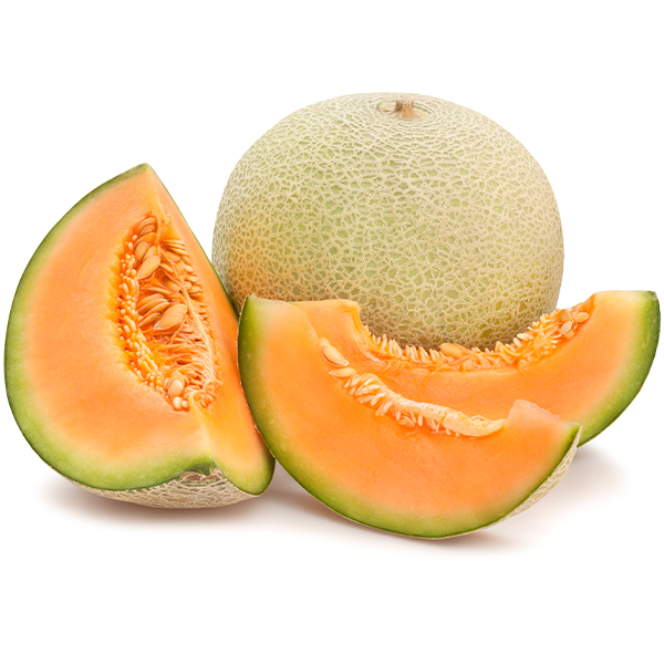 Melón Galia