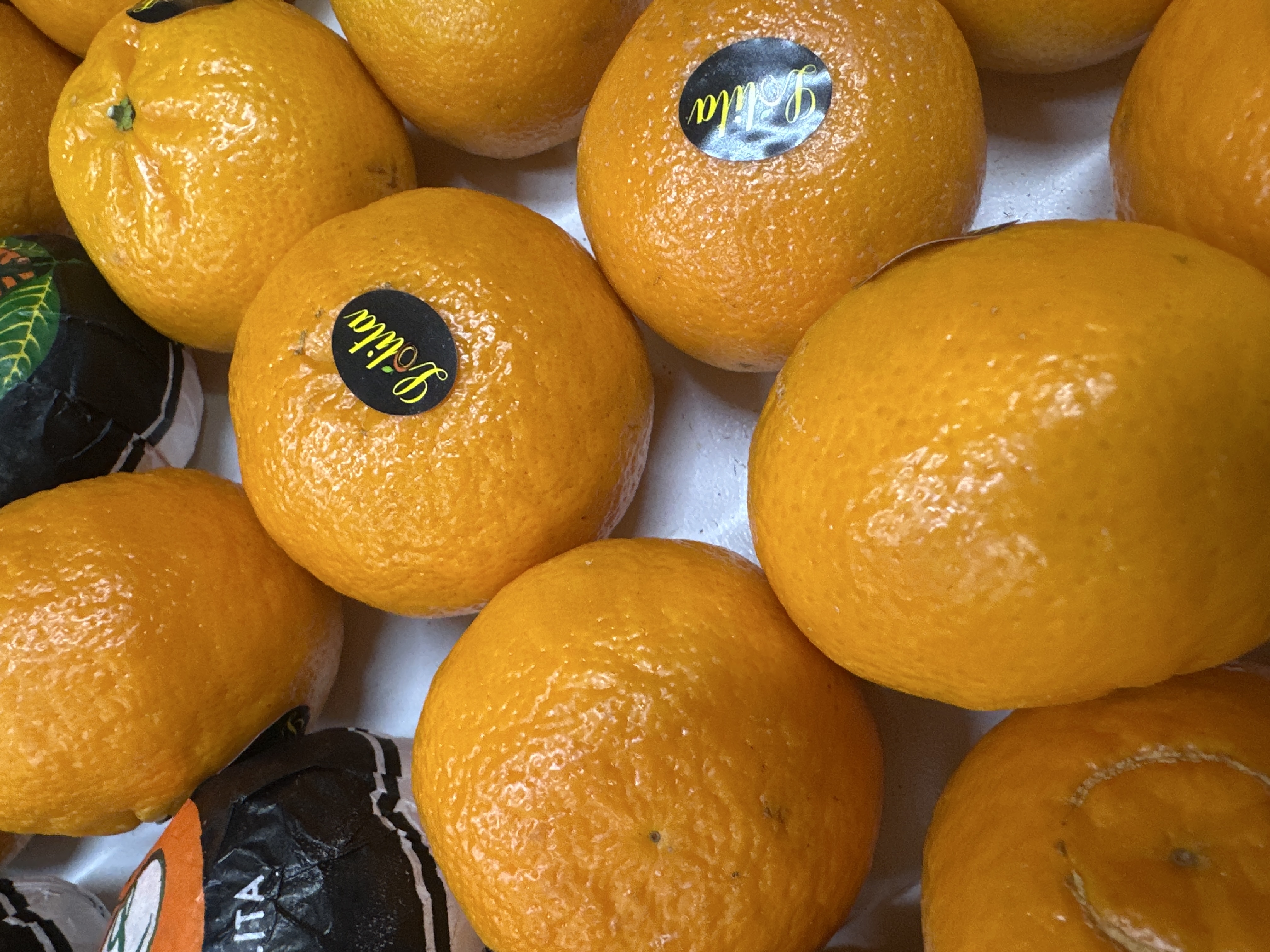 Mandarina Lolita 