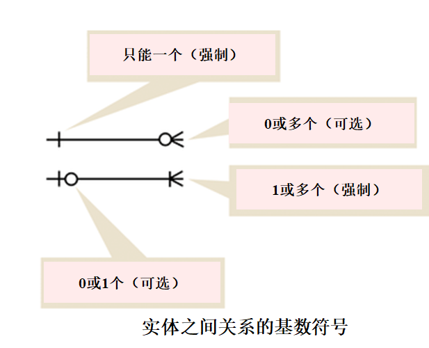 image-20211224222532502