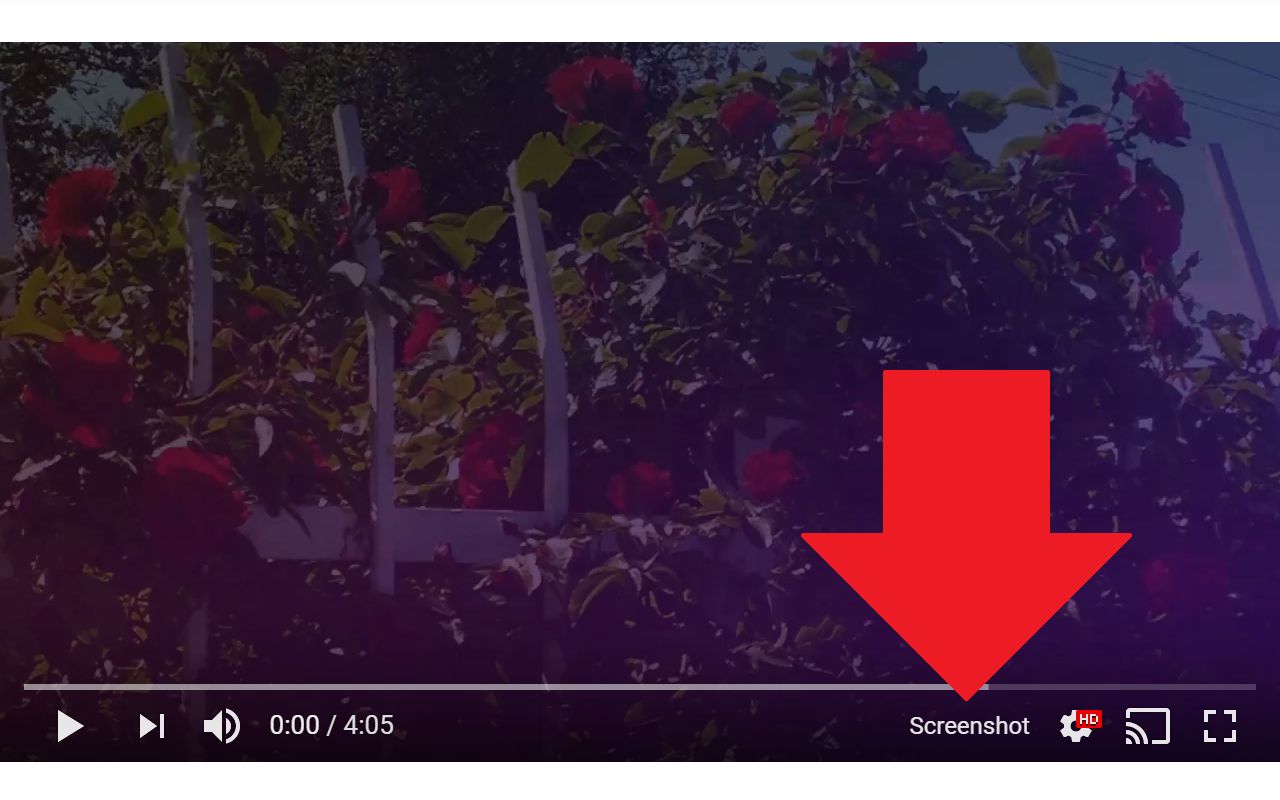 Screenshot YouTube – screenshot