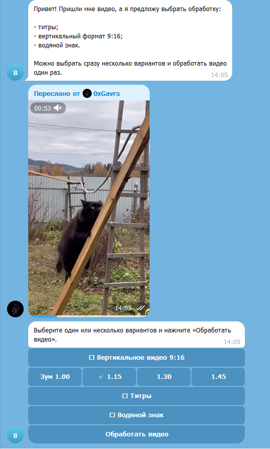 Telegram-бот для обработки видео и набор заказных скриптов