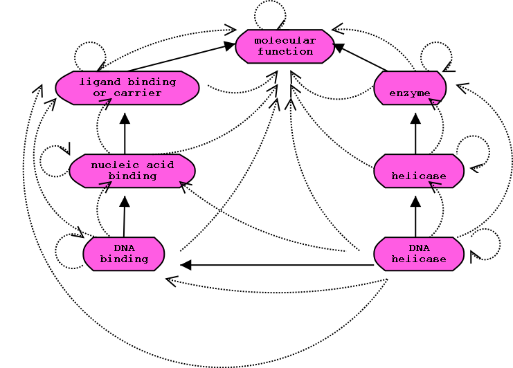 Transitive closure.png