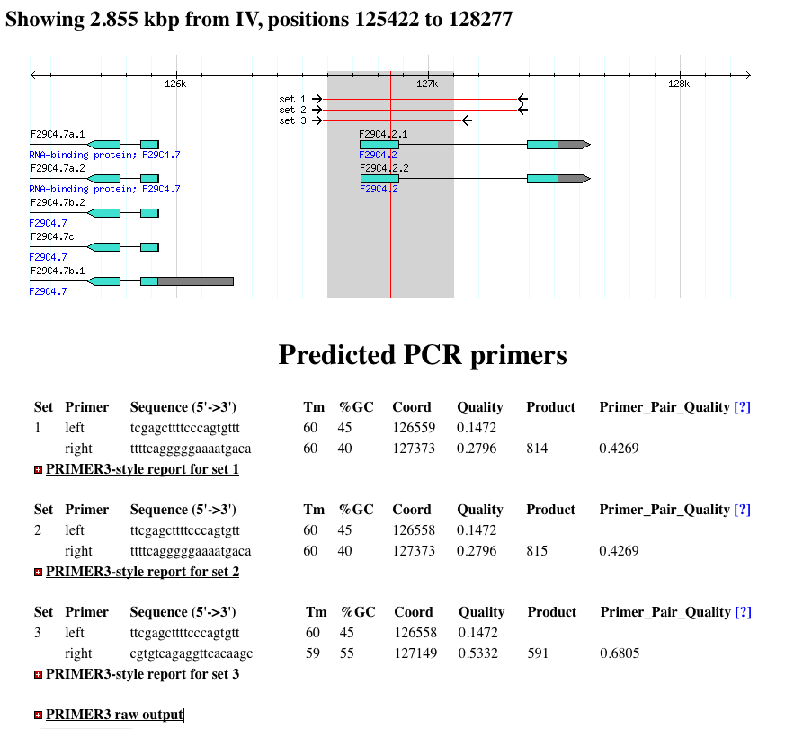 PCR Results.png