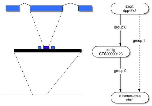 Featureloc-graph-example.png