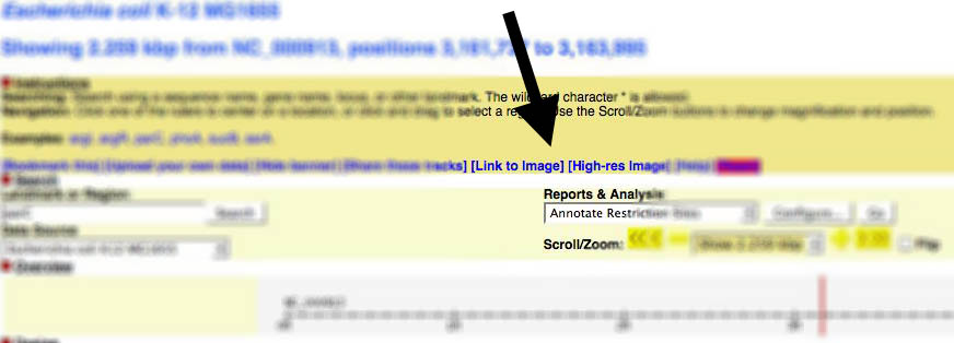 Gbrowse img location v1.jpg
