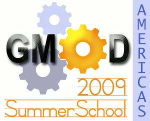 2009SummerSchoolAmericas300.png