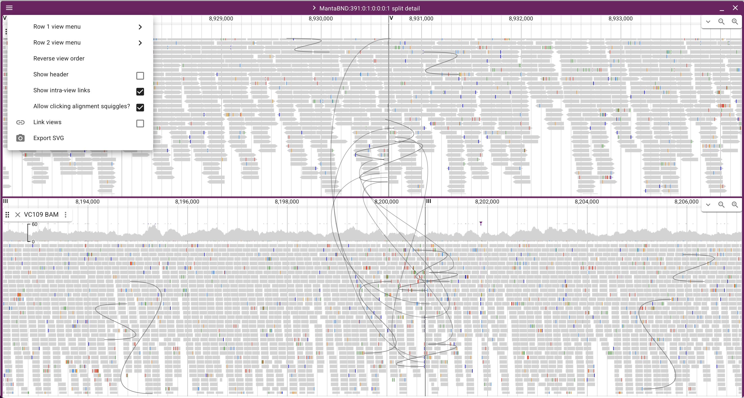 SV BAM view.png