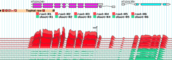 Sample topoview track