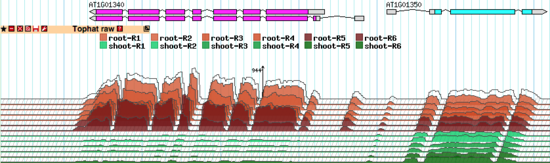 Sample topoview track