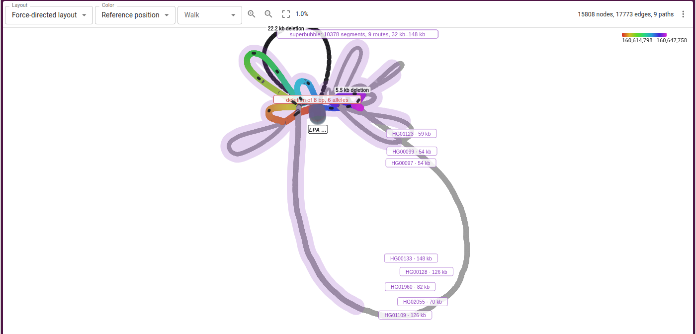 KIV-2 over gbz-base, eight haplotypes, force-directed