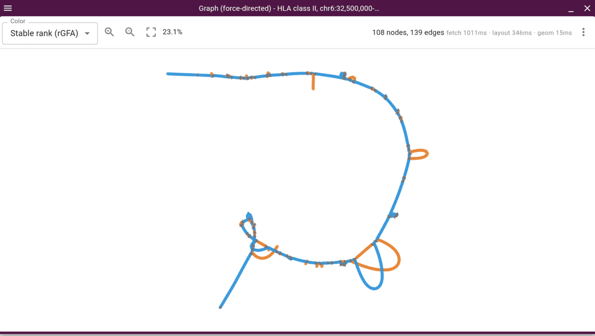 GraphGenomeView