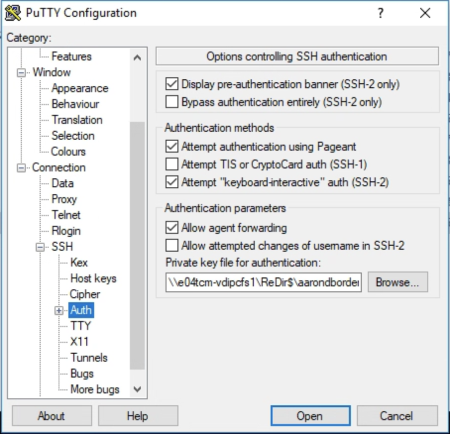 Putty dialog showing SSH auth settings