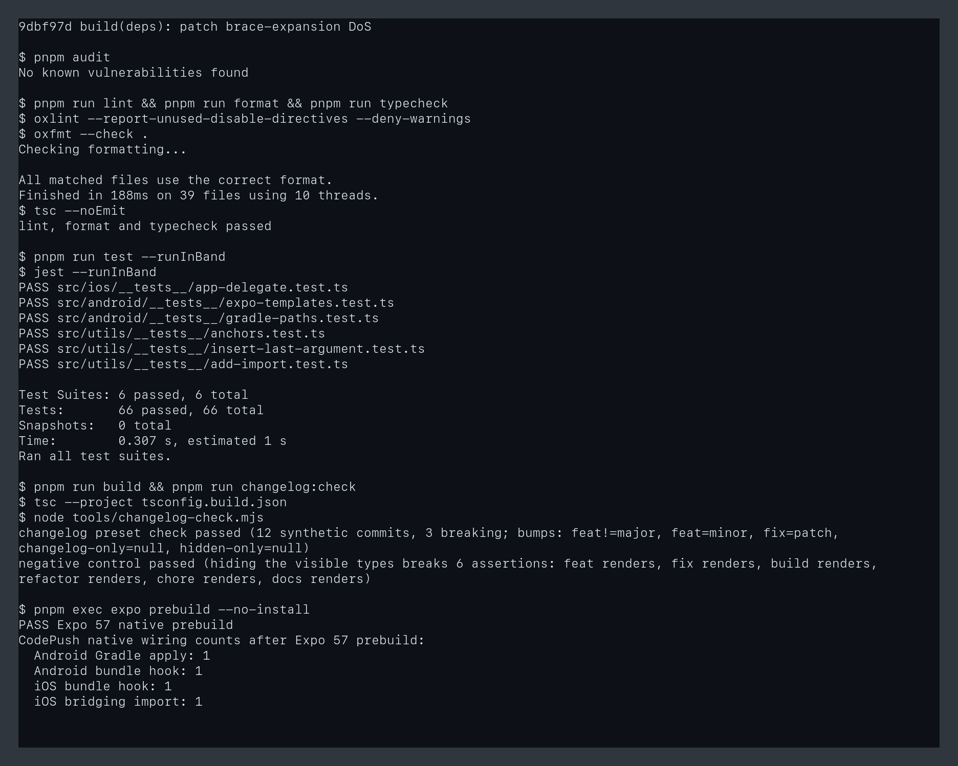 Audit, checks and Expo prebuild output