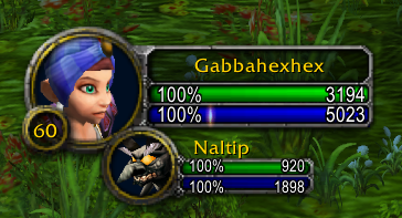 Player and own pet with health and resource values