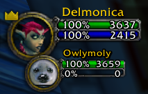 Party member and pet with health and resource percentages and values