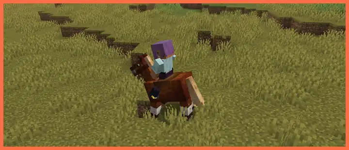A horse picking up from a walk to a trot, a canter and a gallop