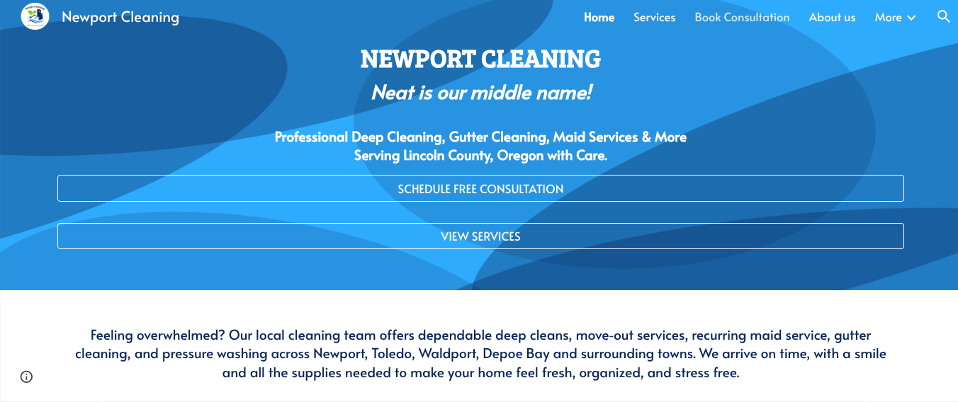 Newport Cleaning Website