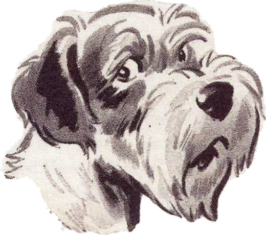 Perro recortado