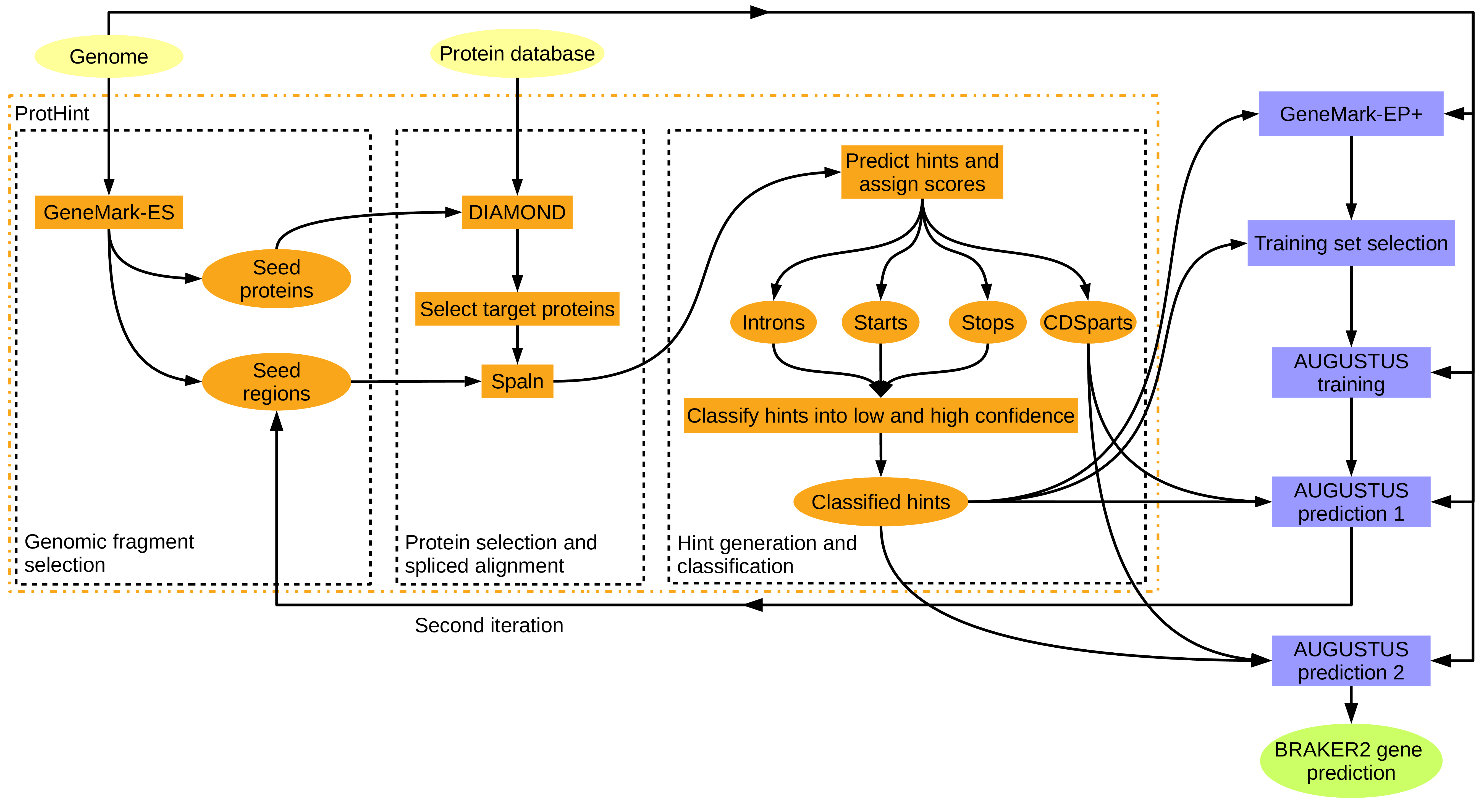 BRAKER2 gene prediction workflow diagram