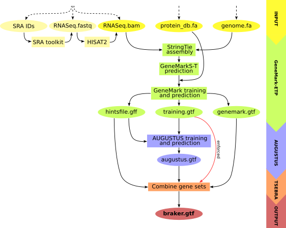 braker3-main-a[fig4]