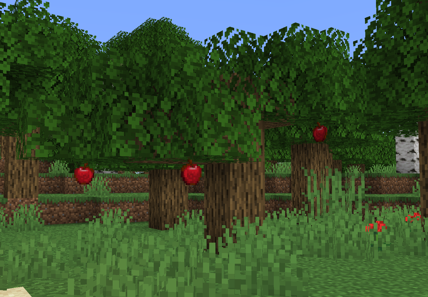 Apple Tree in a Forest