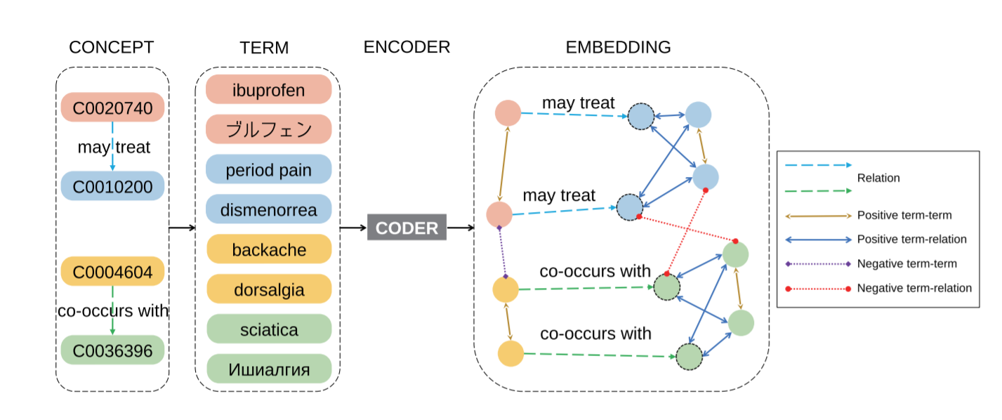 CODER