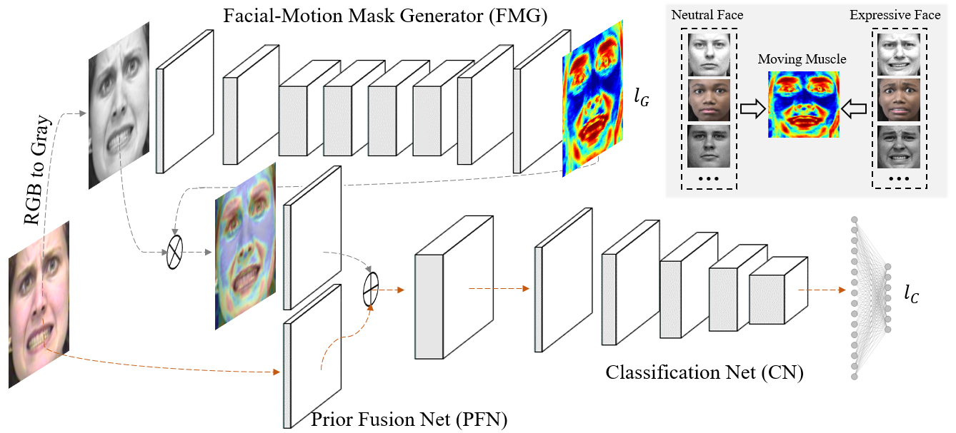 FMPN Model Structure