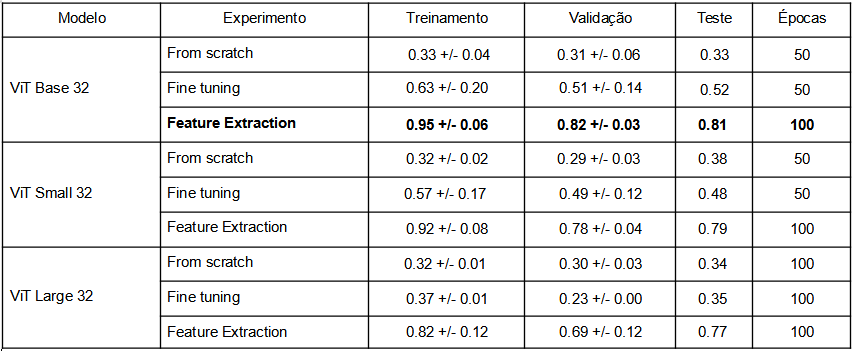 results_vit