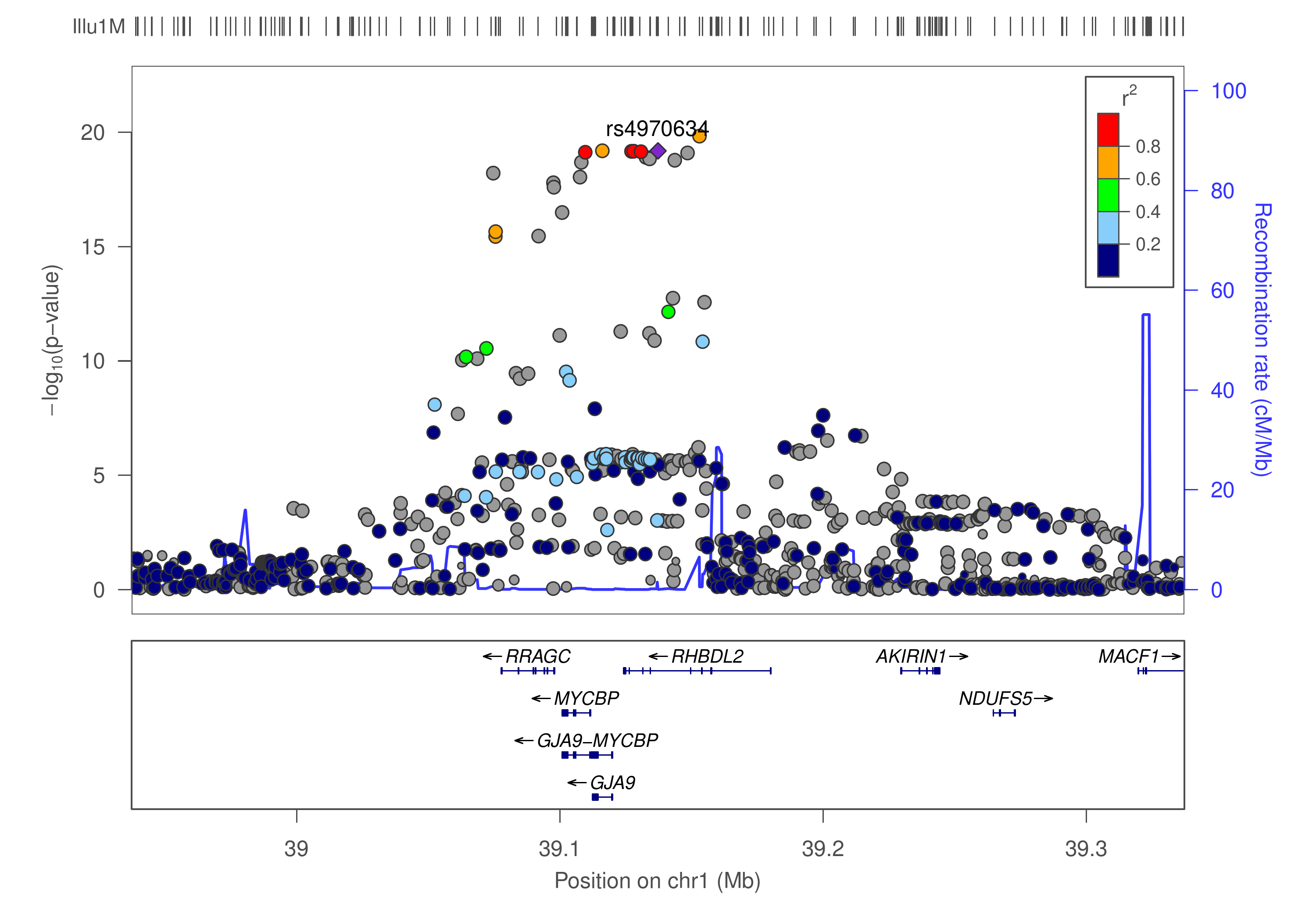 LocusZoom plot showing Regional association for chr1:39114617-39614617