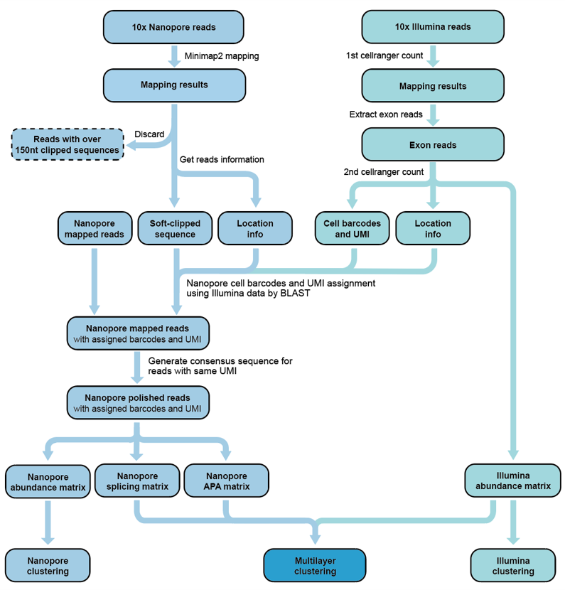 Schematic_diagram