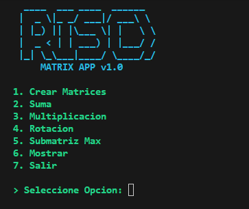Captura de RISCMatrixApp
