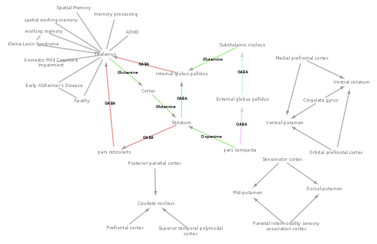 GitHub - GeriLife/OpenBrainGraph: Human Brain Graph (network) Research.