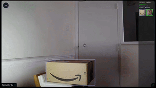 Custom Video Models Demo