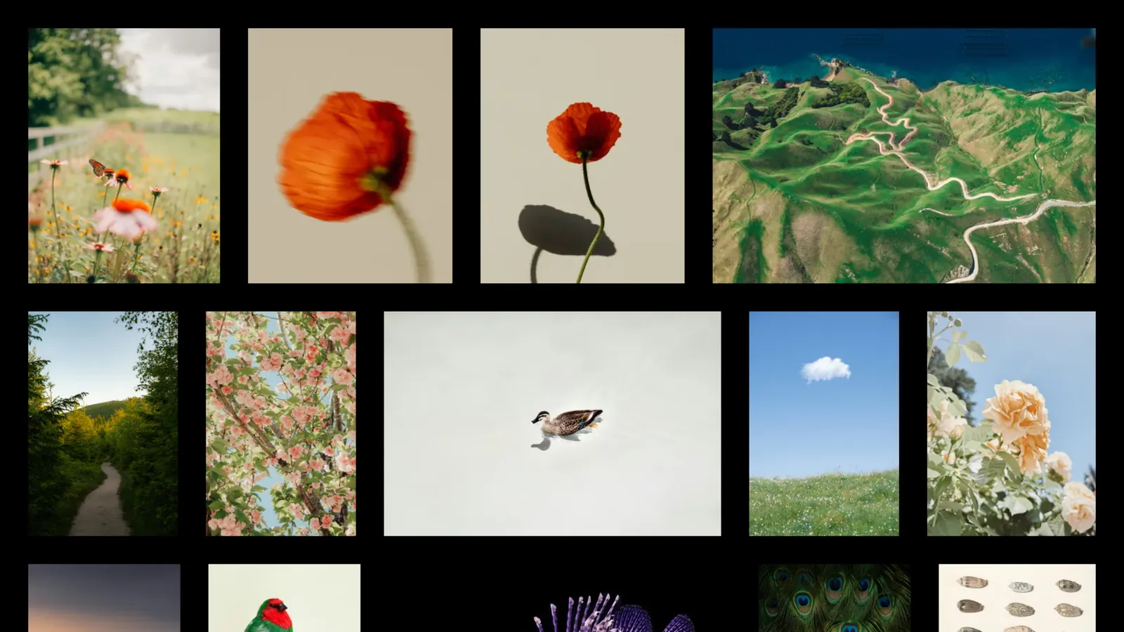 Une galerie photo minimaliste d'une seule page permettant de présenter vos œuvres tel une galerie d'art.