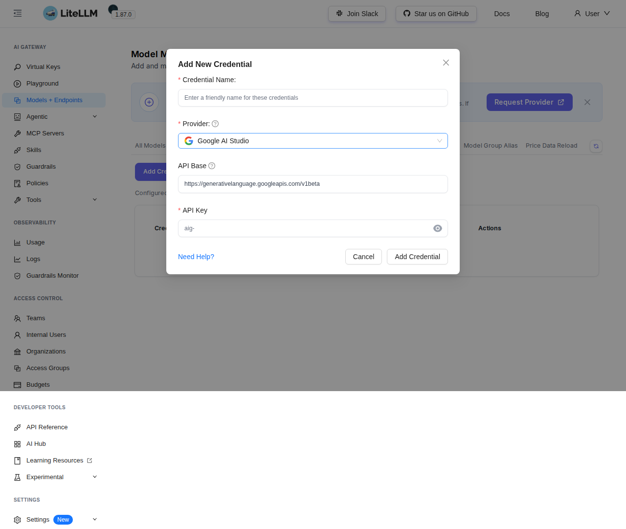 Fix 1 — Google AI Studio credential form