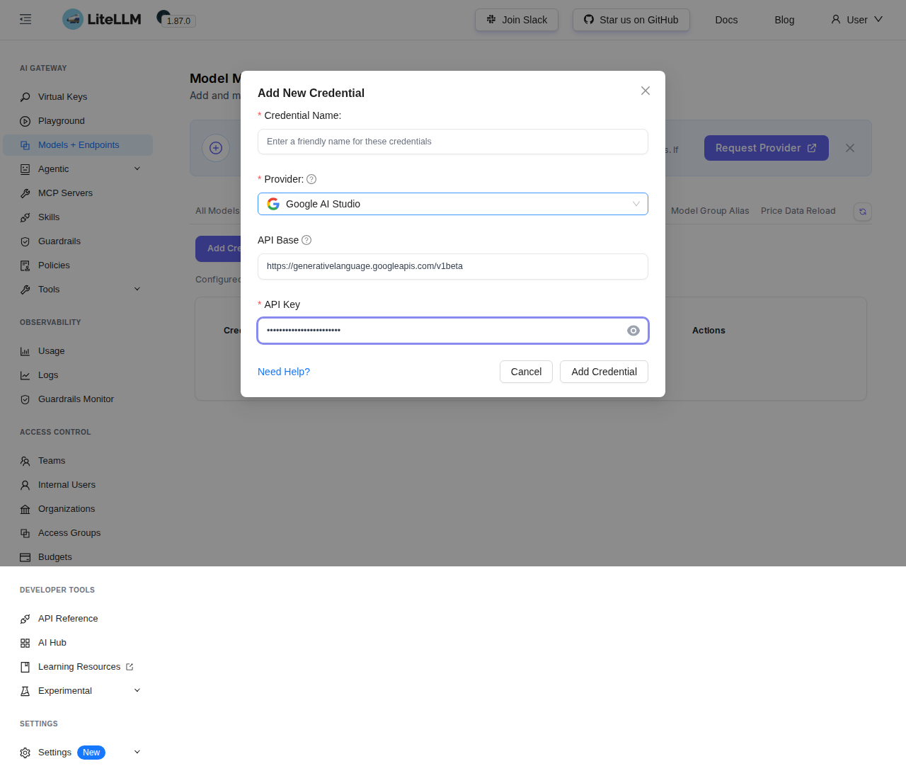 Fix 2 — Before: Google AI Studio with key filled