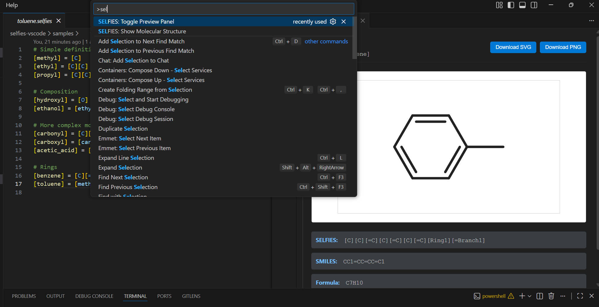 SELFIES Extension Screenshot