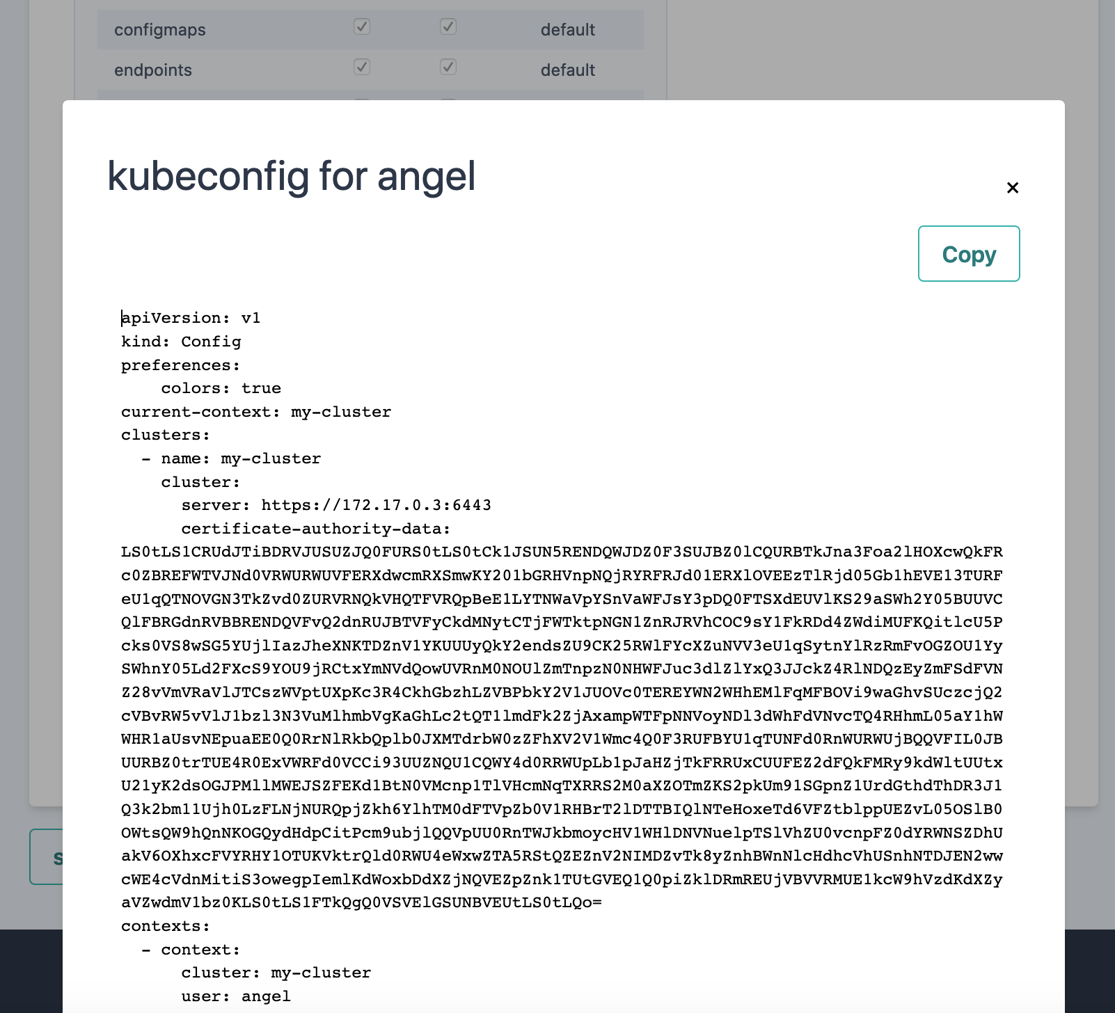 User's Kubeconfig