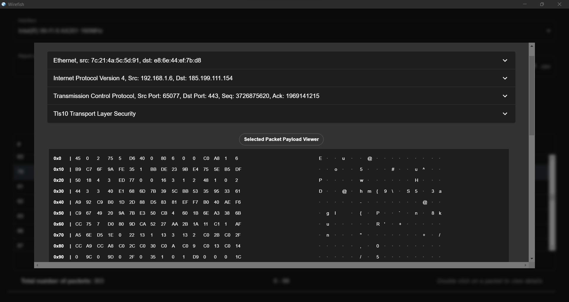 TLS Packet