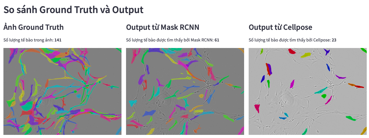 Comparing Mask RCNN and Cellpose
