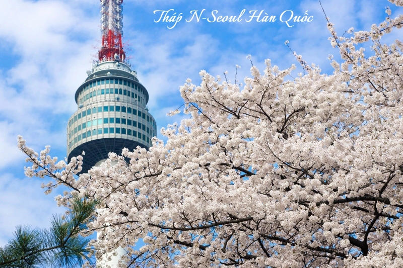 Du lịch Hàn Quốc tết 2024 tại N Seoul Tower