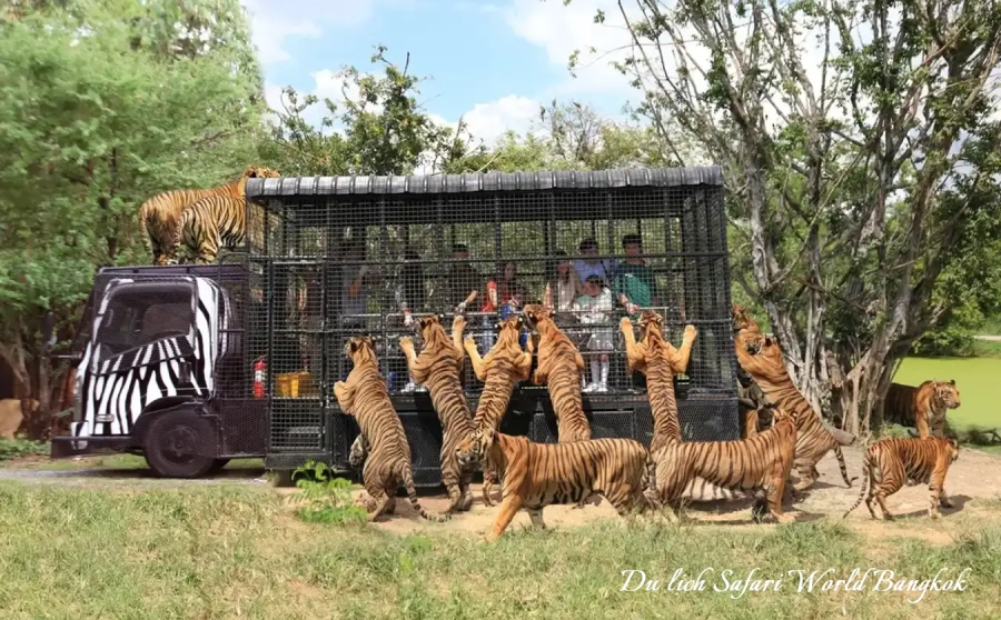 Du lịch Thái Lan Safari World Bangkok