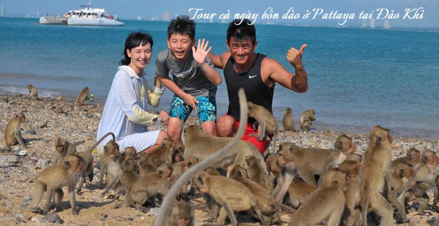 Tour cả ngày bốn đảo ở Pattaya - Tour Thái Lan